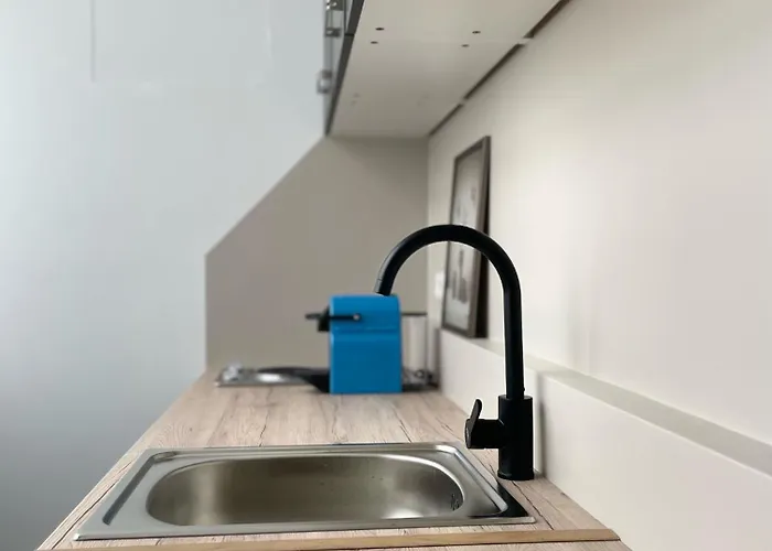 Apartment Salon Des Fleurs Linz-landstrasse