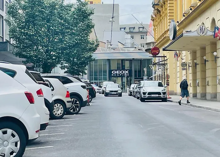 Salon Des Fleurs Linz-landstrasse Apartment