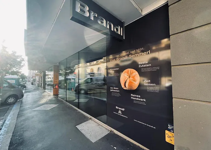 Apartment Salon Des Fleurs Linz-landstrasse *